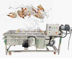 pud shrimp washing system in gujarat